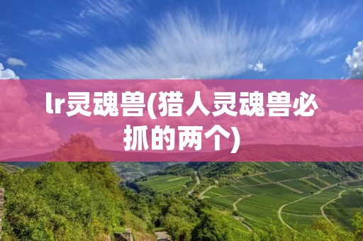 lr灵魂兽(猎人灵魂兽必抓的两个)
