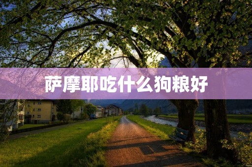 萨摩耶吃什么狗粮好