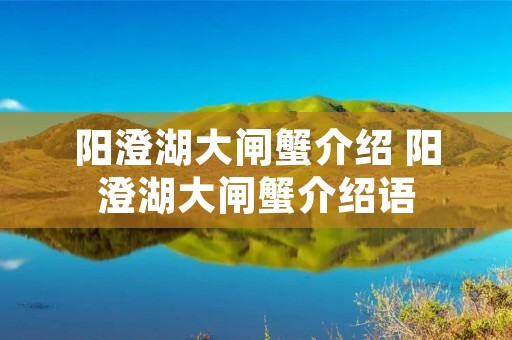 阳澄湖大闸蟹介绍 阳澄湖大闸蟹介绍语 阳澄湖大闸蟹介绍 阳澄湖大闸蟹介绍语