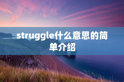struggle什么意思的简单介绍