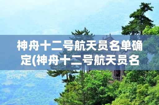 神舟十二号航天员名单确定(神舟十二号航天员名单确定汤洪波)