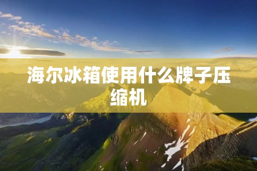 海尔冰箱使用什么牌子压缩机