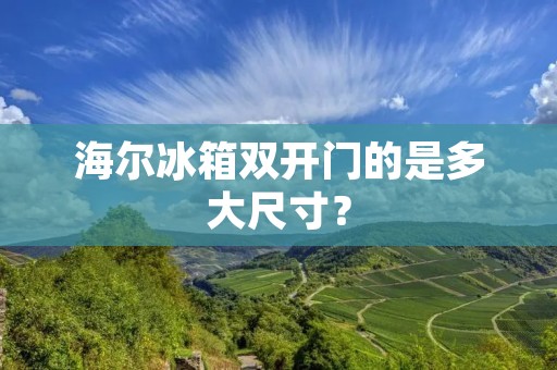 海尔冰箱**门的是多大尺寸? 海尔冰箱**门的是多大尺寸?