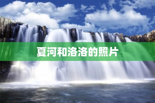 夏河和洛洛的照片 夏河和洛洛的照片