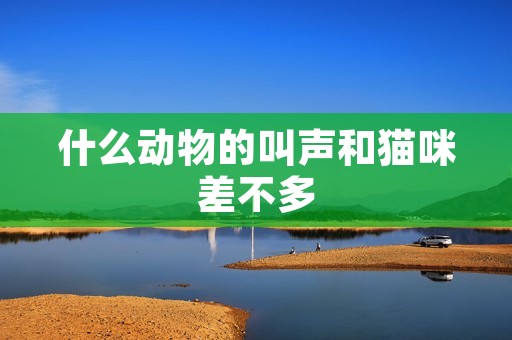 什么动物的叫声和猫咪差不多 什么动物的叫声和猫咪差不多