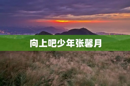 向上吧少年张馨月：用坚持与梦想书写人生华章