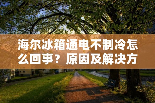 海尔冰箱通电不制冷怎么回事？原因及解决方法详解