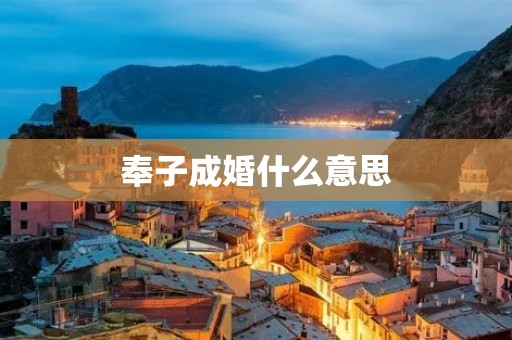 奉子成婚什么意思 奉子成婚什么意思