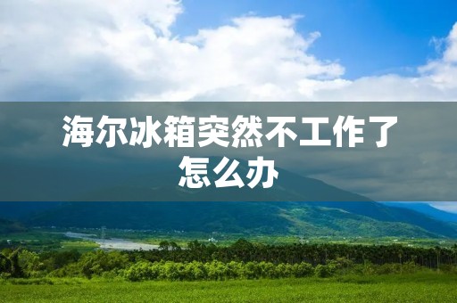 海尔冰箱突然不工作了怎么办 海尔冰箱突然不工作了怎么办