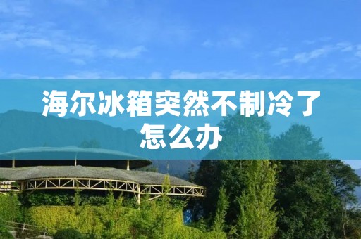 海尔冰箱突然不制冷了怎么办 海尔冰箱突然不制冷了怎么办