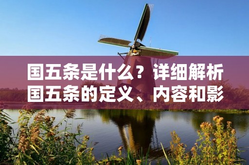 国五条是什么？详细解析国五条的定义、内容和影响