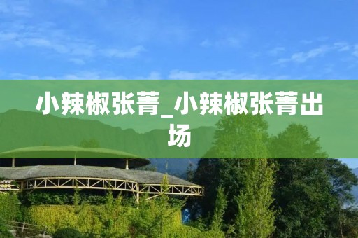 小辣椒张菁_小辣椒张菁出场