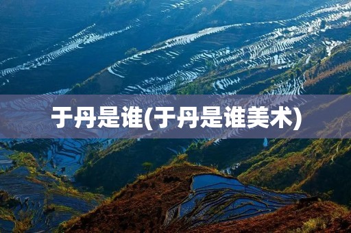 于丹是谁(于丹是谁美术)