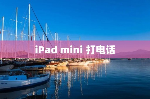 iPad mini 打**：一款功能强大的通信工具