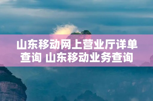 山东移动网上营业厅详单查询 山东移动业务查询 山东移动网上营业厅详单查询 山东移动业务查询