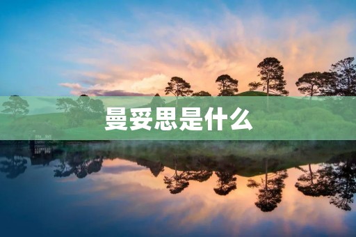 曼妥思是什么 曼妥思是什么