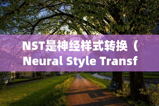 NST是神经样式转换（Neural Style Transfer）的缩写。它是一种计算机视觉技术，通过结合两个图像的内容和风格来生成一个新的图像。其中，一个图像被称为内容图像，另一个图像被称为风格图像。