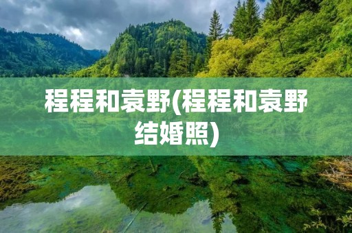 程程和袁野(程程和袁野结婚照) 程程和袁野(程程和袁野结婚照)
