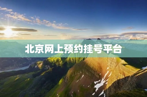 北京网上预约挂号平台：便捷高效的医疗服务新选择