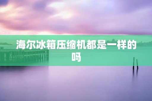 海尔冰箱压缩机都是一样的吗