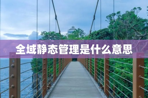 全域静态管理是什么意思
