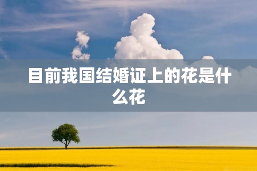目前我国结婚证上的花是什么花 目前我国结婚证上的花是什么花