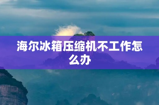 海尔冰箱压缩机不工作怎么办
