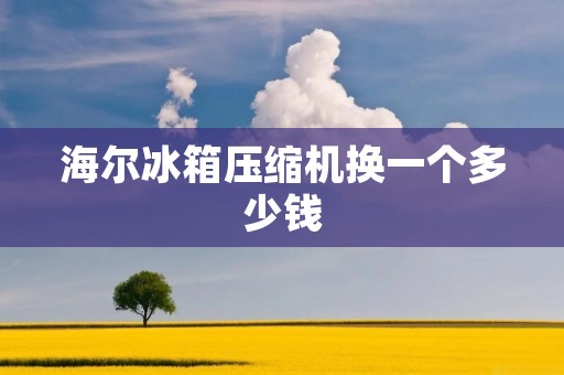 海尔冰箱压缩机换一个多少钱