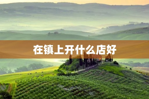 在镇上开什么店好 在镇上开什么店好