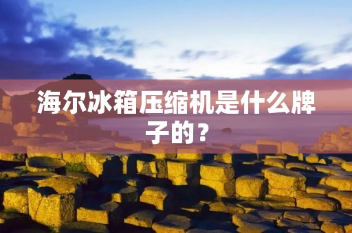 海尔冰箱压缩机是什么牌子的？