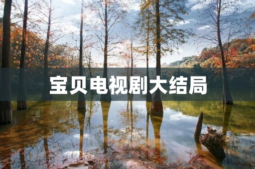 宝贝电视剧大结局:情感升华,引发观众热议 宝贝电视剧大结局:情感升华,引发观众热议