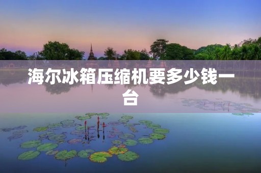 海尔冰箱压缩机要多少钱一台