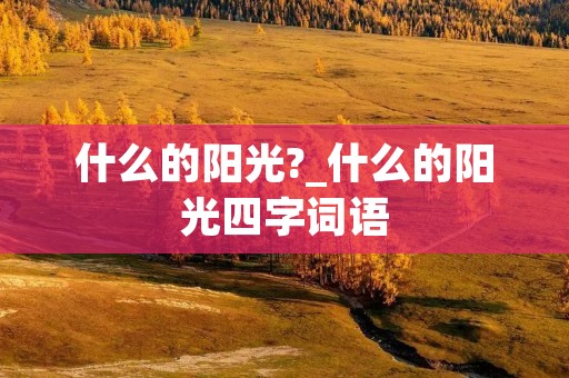 什么的阳光?_什么的阳光四字词语
