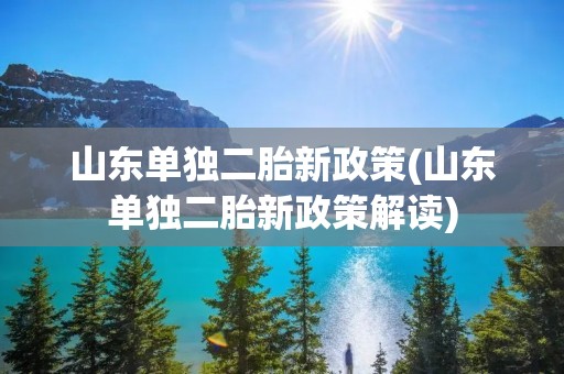 山东单独二胎新政策(山东单独二胎新政策解读)