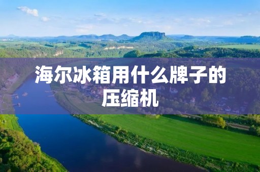 海尔冰箱用什么牌子的压缩机