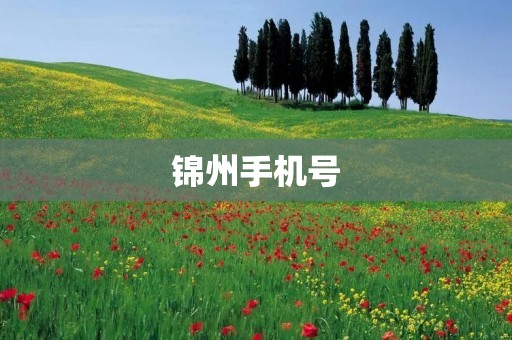 锦州手机号：畅通沟通的便捷选择
