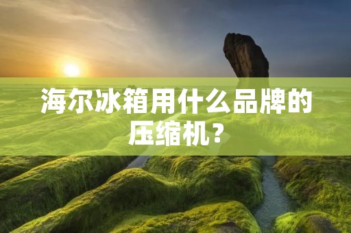 海尔冰箱用什么品牌的压缩机？