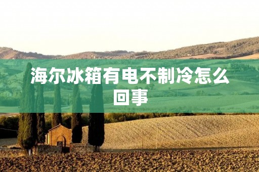 海尔冰箱有电不制冷怎么回事