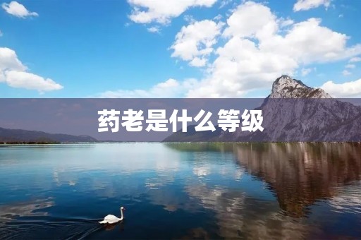 药老是什么等级