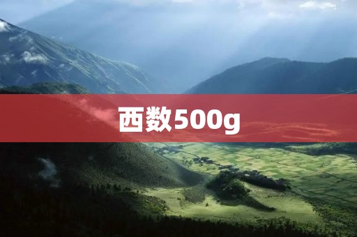 西数500g：给你更大的存储空间
