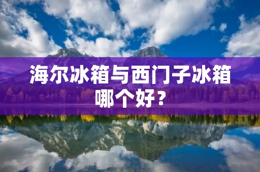 海尔冰箱与西门子冰箱哪个好？