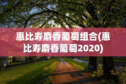 惠比寿麝香葡萄组合(惠比寿麝香葡萄2020)