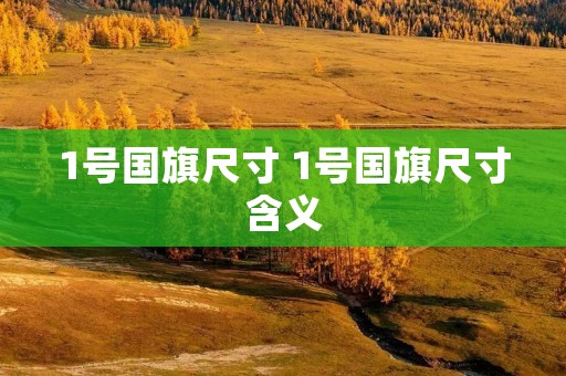 1号国旗尺寸 1号国旗尺寸含义