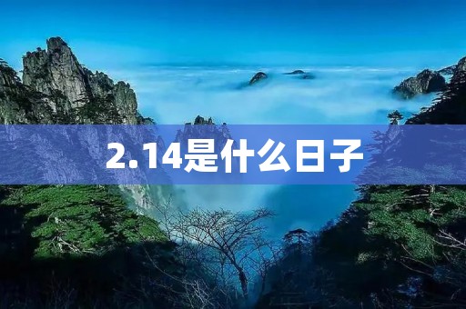 2.14是什么日子