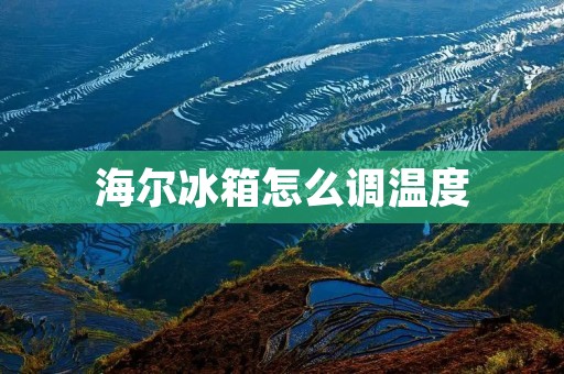 海尔冰箱怎么调温度：人工智慧时代的智能调温技术
