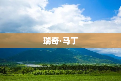 瑞奇·马丁:拉丁音乐界的巨星 瑞奇·马丁:拉丁音乐界的巨星