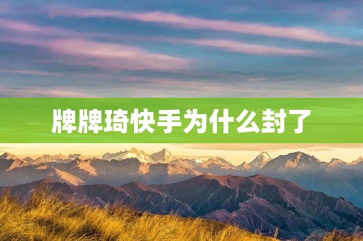 牌牌琦快手为什么封了 牌牌琦快手为什么封了