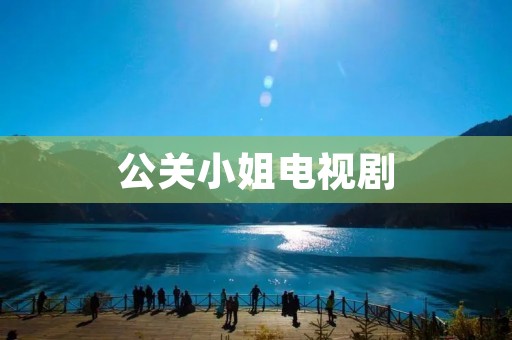 公关小姐电视剧