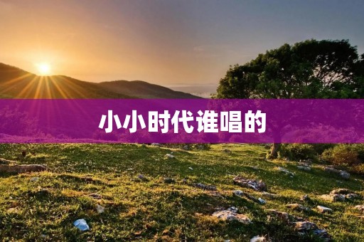 小小时代谁唱的：揭秘小小时代电影主题曲演唱者身份