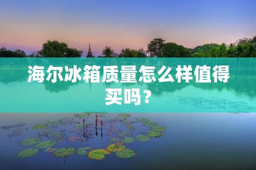 海尔冰箱质量怎么样值得买吗？